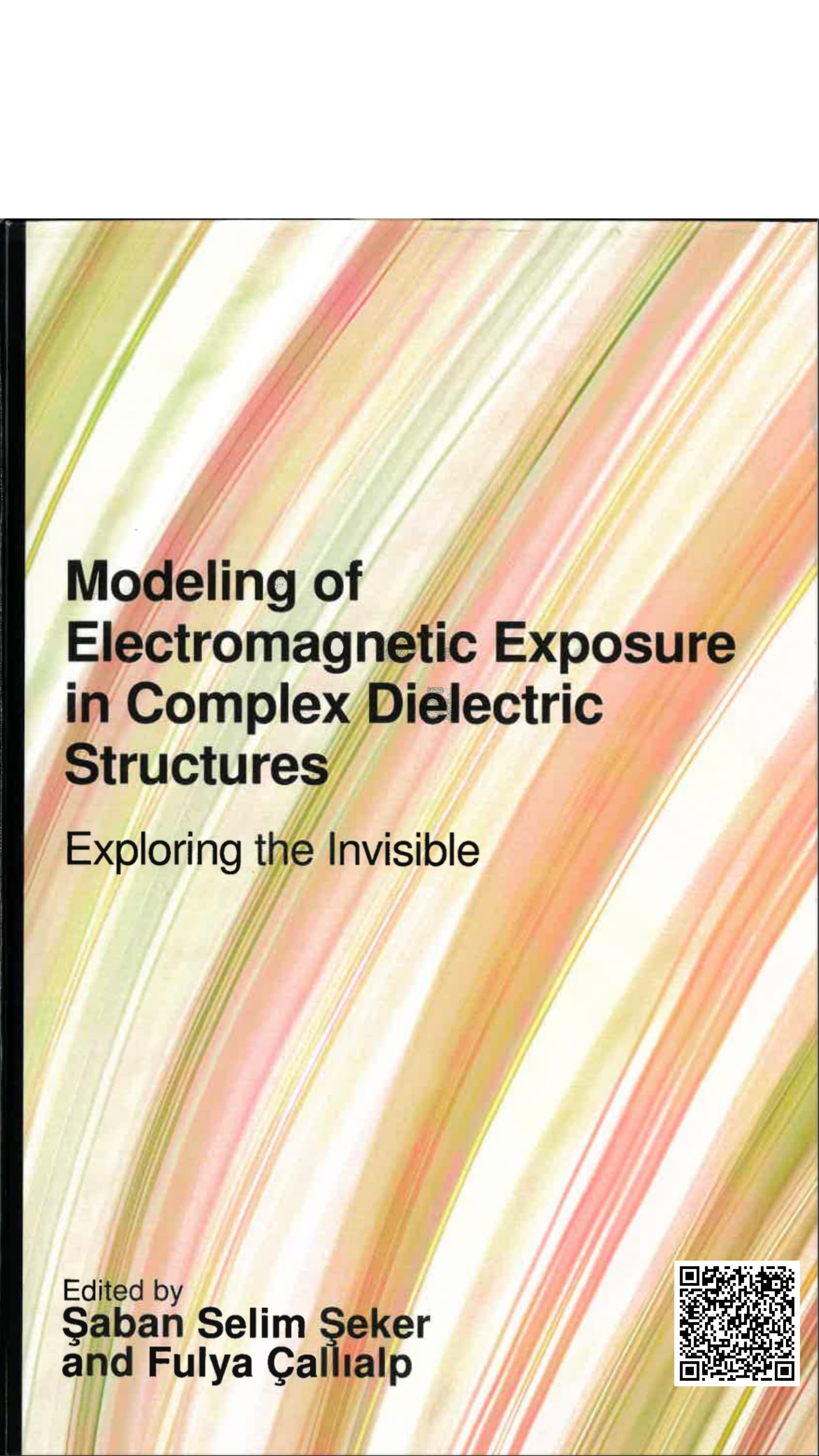 Modeling of Electromagnetic Exposure in Complex Dielectric Structures book cover